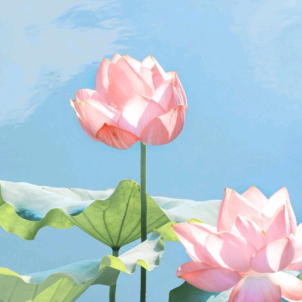 YOO海之阁
