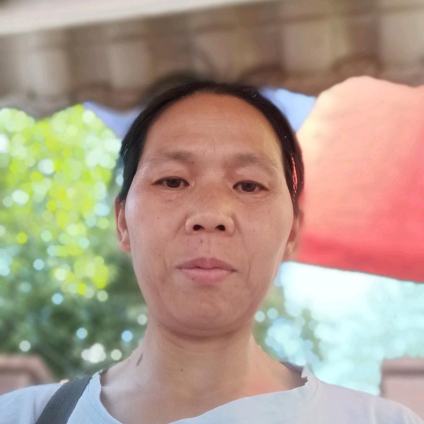 沉默的风