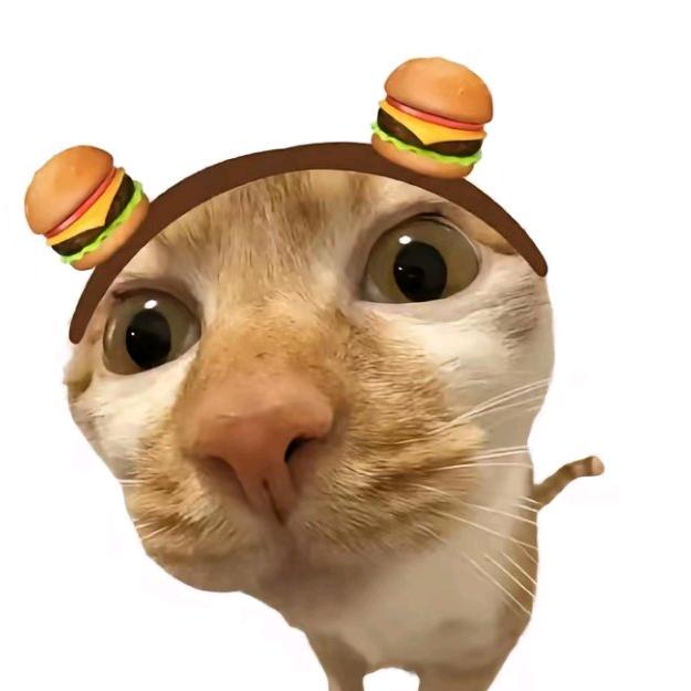 乐ong龙🐾
