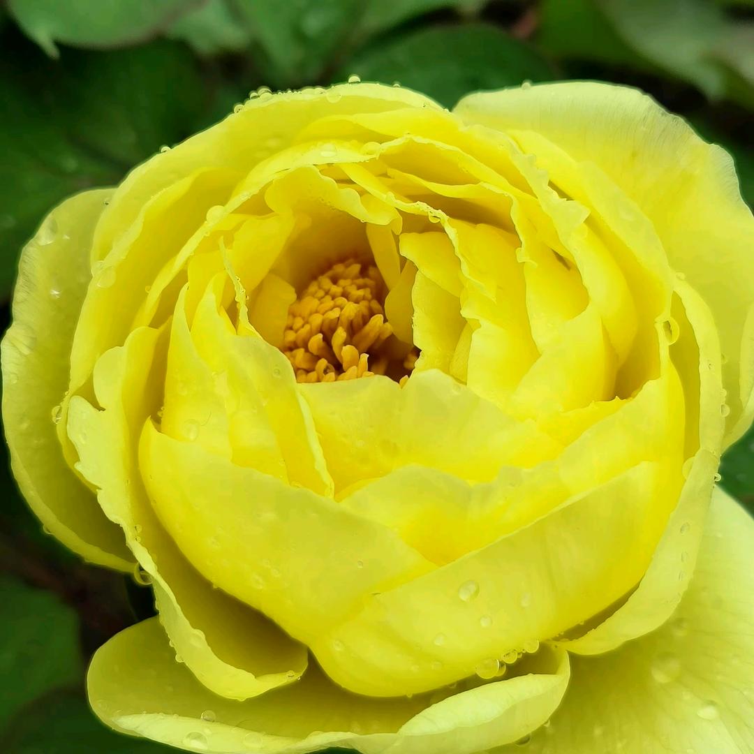 🌈罗花花🌈🌈