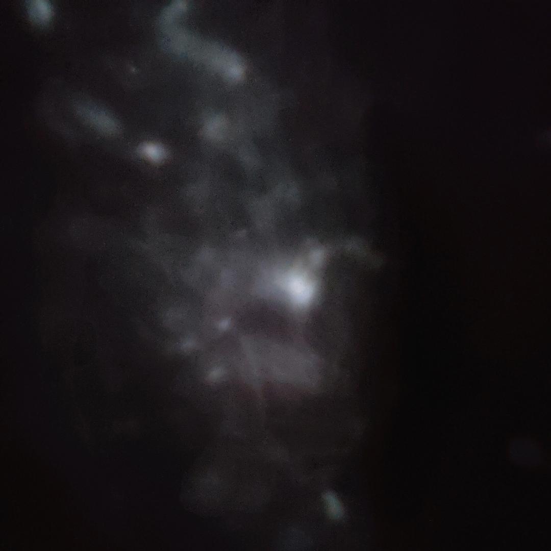 项南