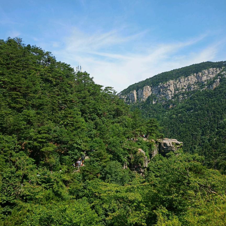 无双公子🐝9217