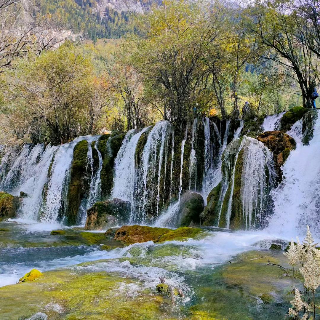 孞琞