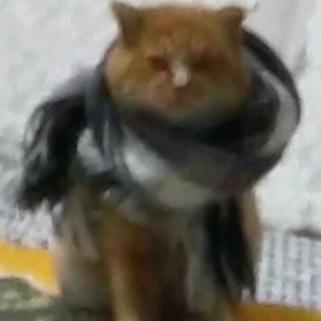 乐今儿