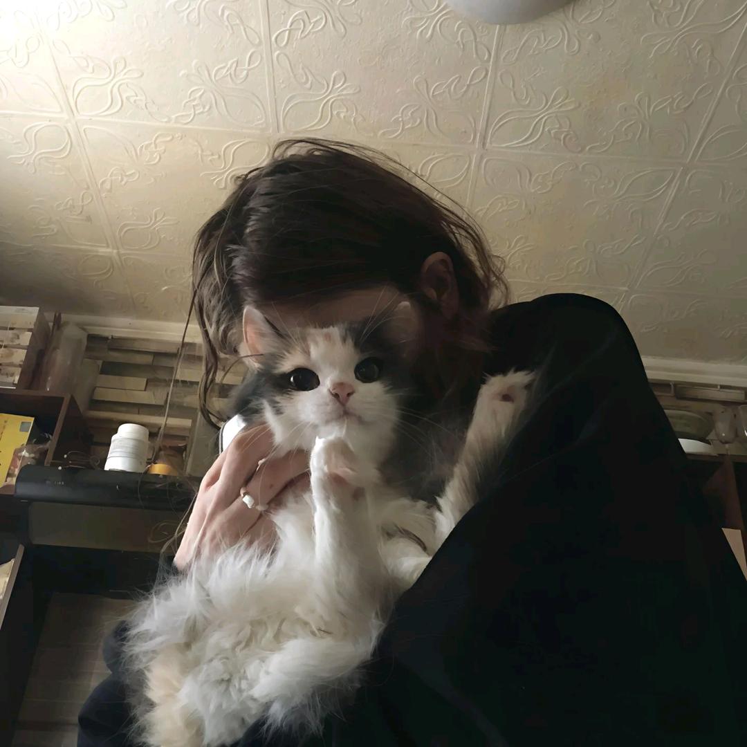 我想吃掉你的胰脏