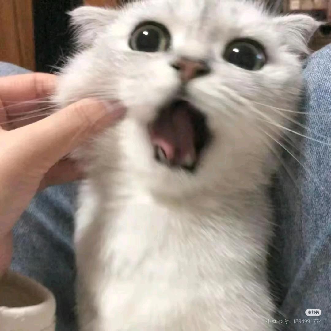 ♎