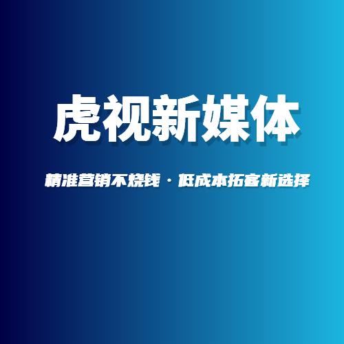 三明虎视AI新媒体营销