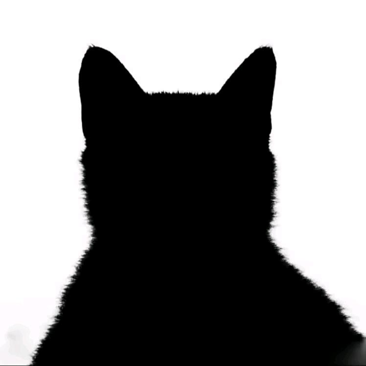 佟哈哈