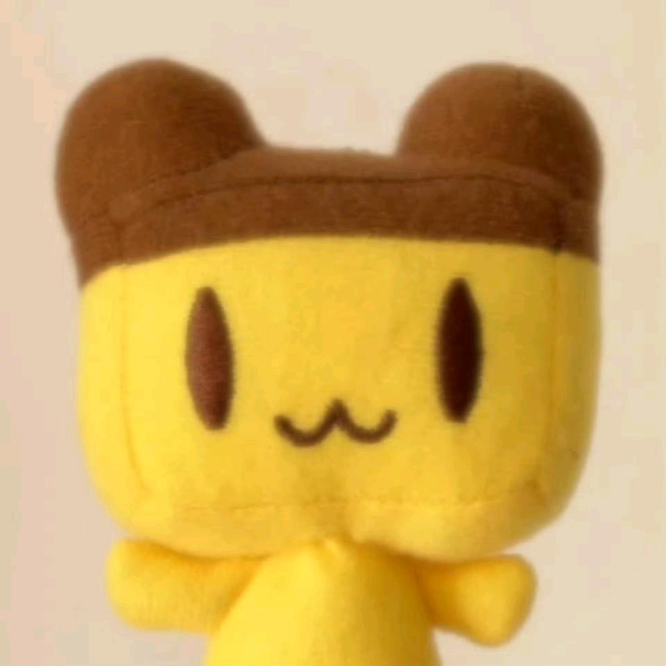 尔尔四九