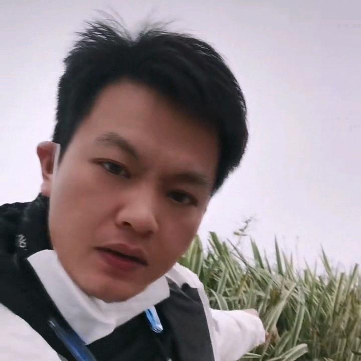 苏老大