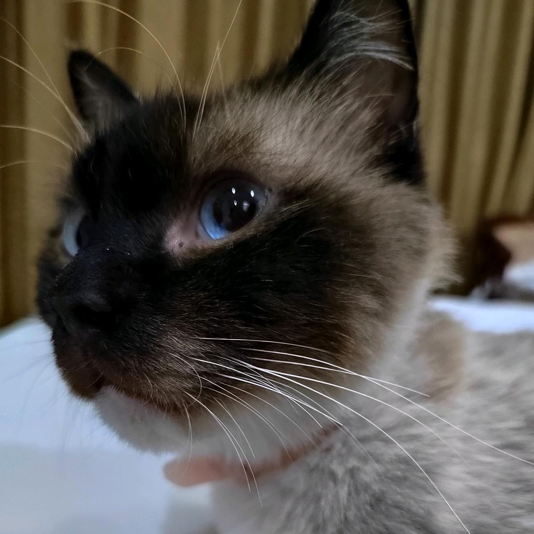 谢小姐饰品小店