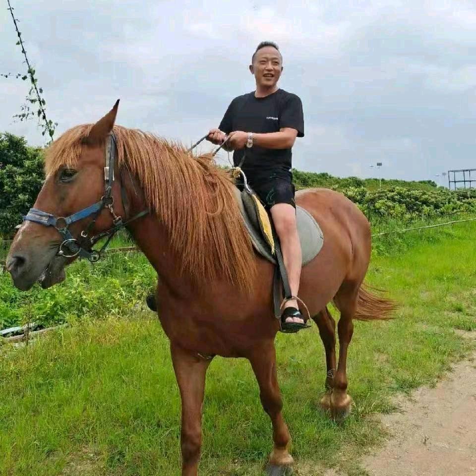 神韵.