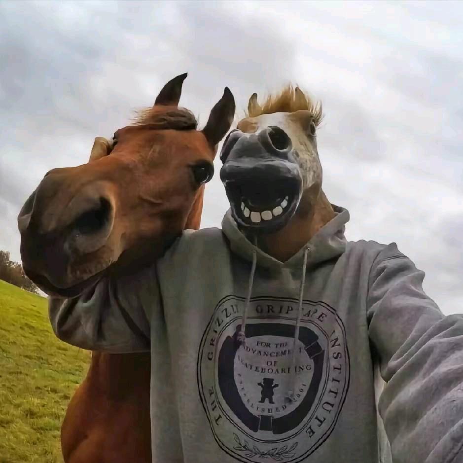 RRRrrrrr