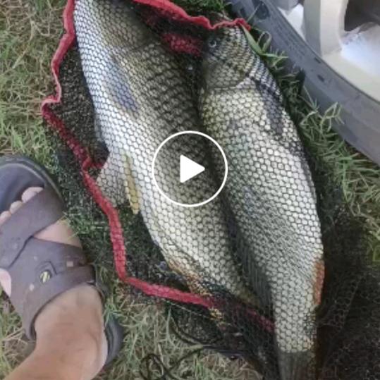 户外走一走，小杆抖一抖😂