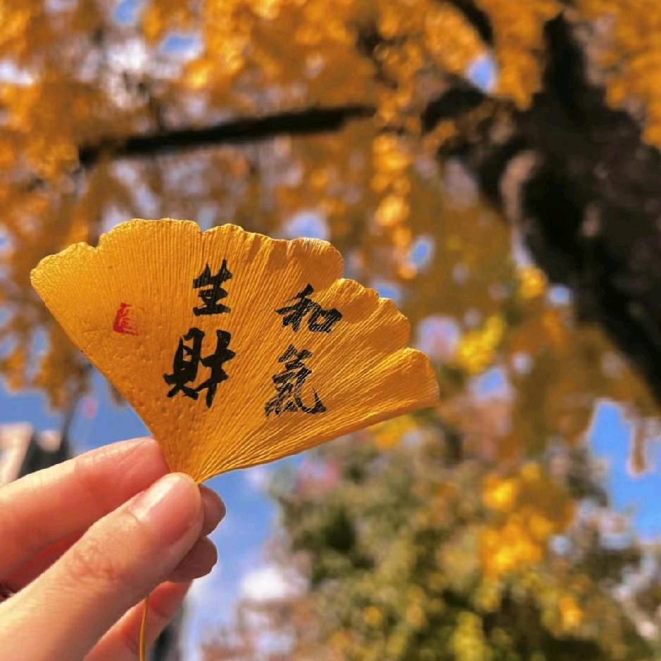 圆圆🍡