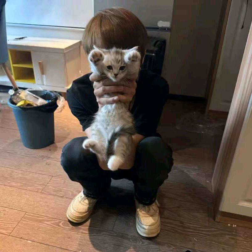 宇
