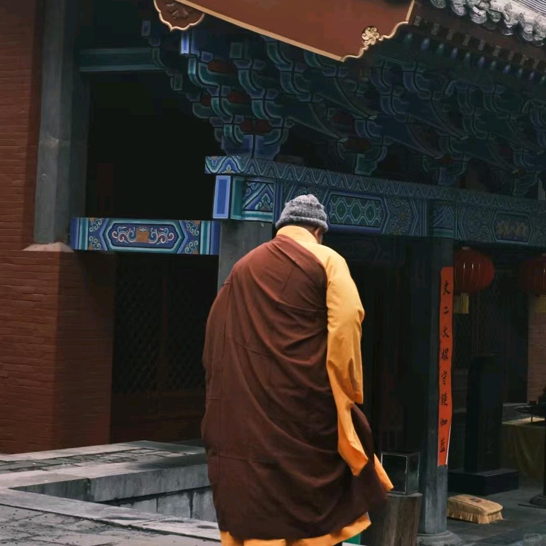 倦诗生活号