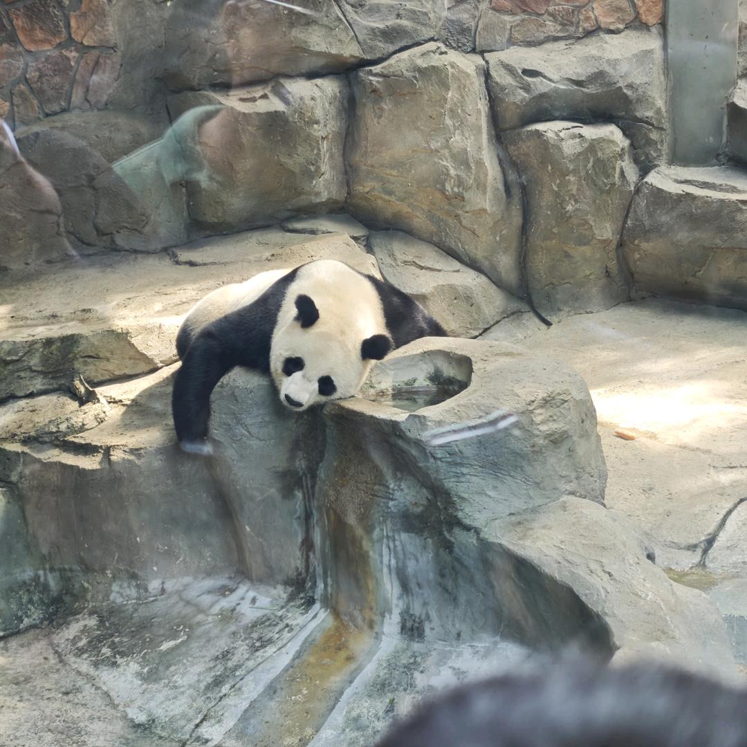 🚬ག俗子໊ꫛ爱财៷ᜧ