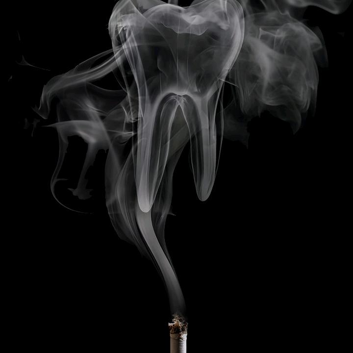 叼着香烟&的女人～鸽