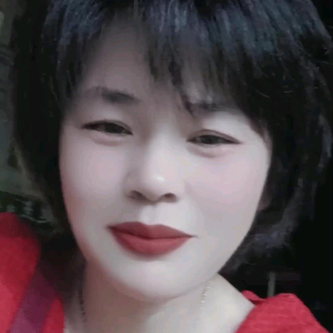 温馨小菊