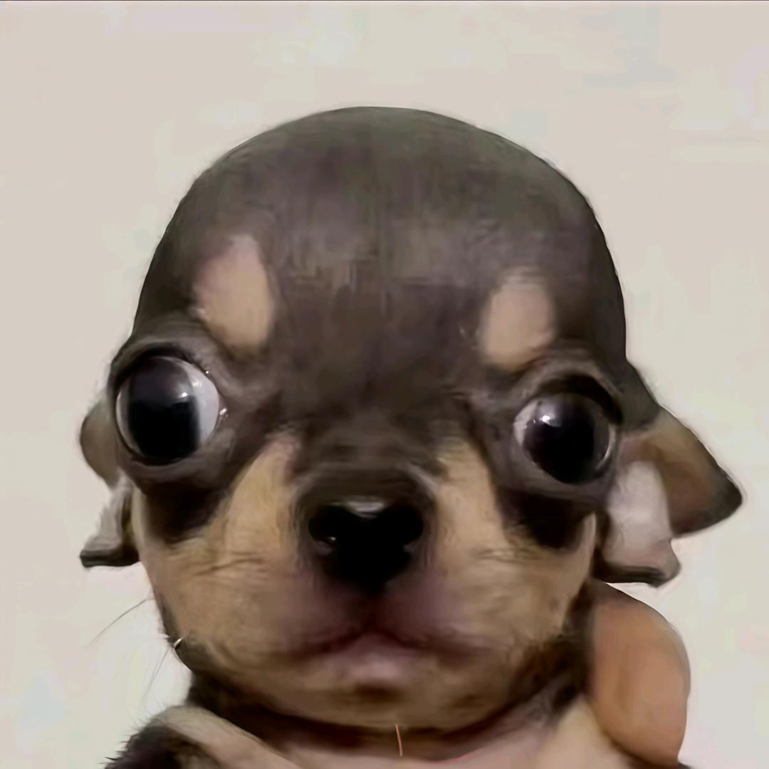 你打我噻
