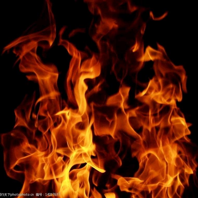 逆天改命，逆风向上