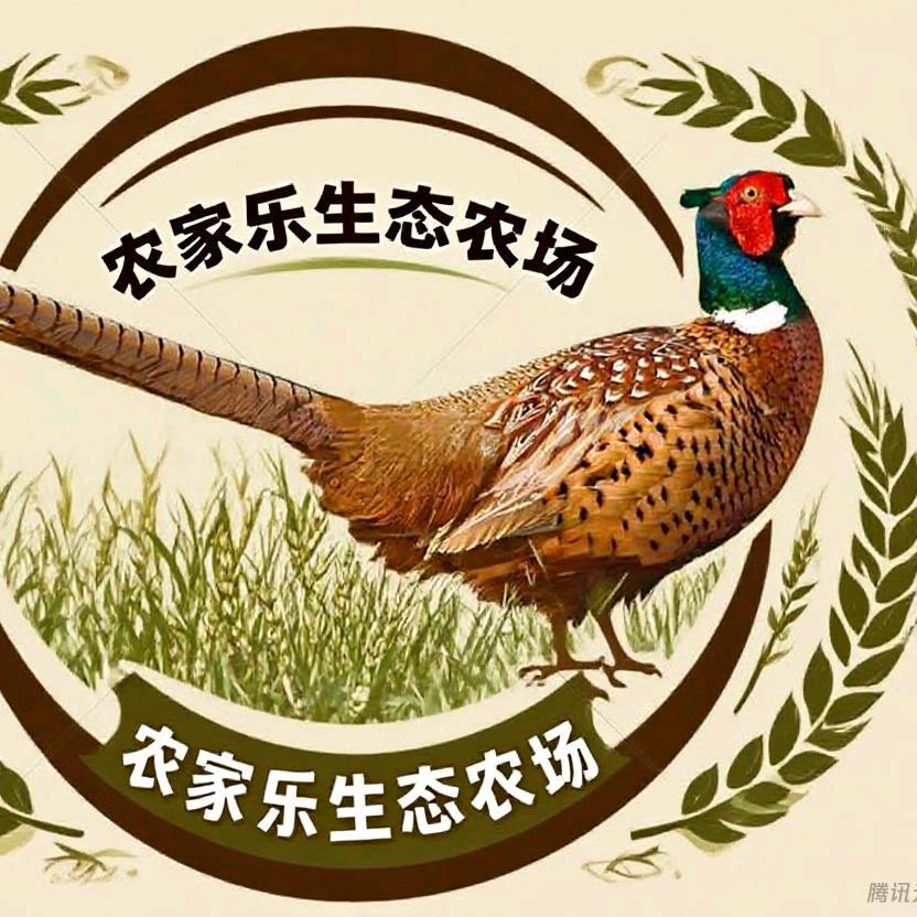 阳谷丰禽电子商务有限公司