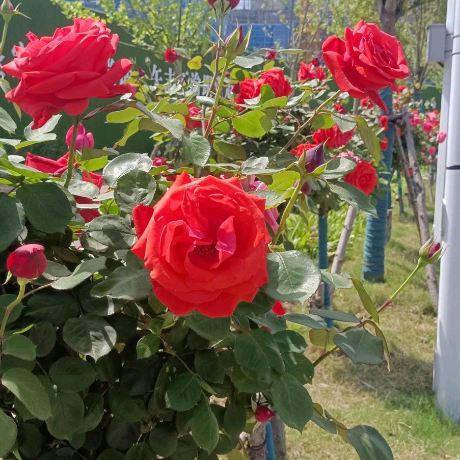 一夜暴富👭👬