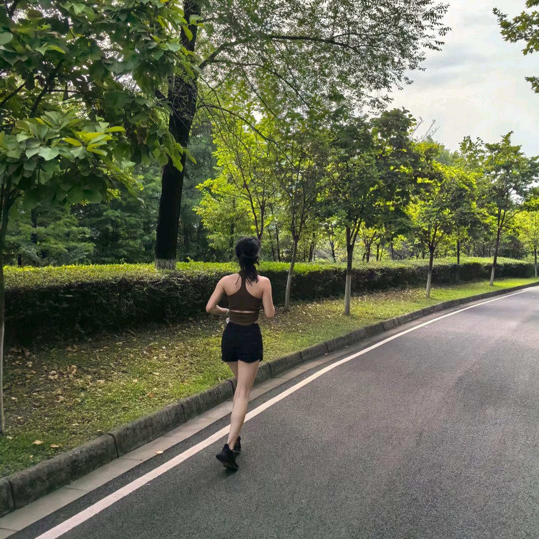 迷迭香
