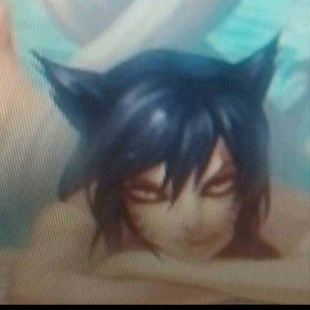 加肥男春季狂欢节