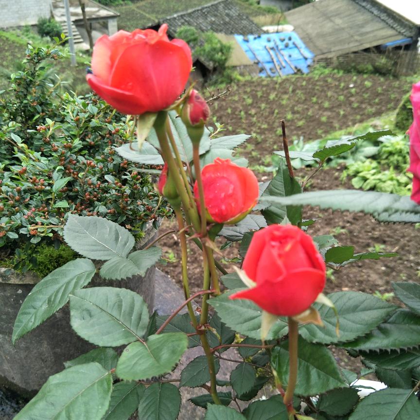 时间久了就会忘