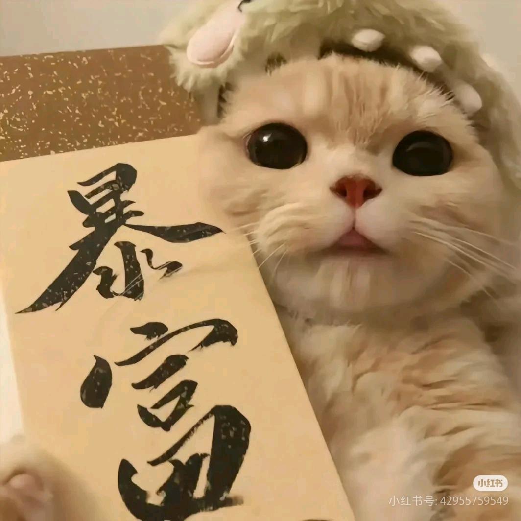 哆啦A梦的魔法口袋