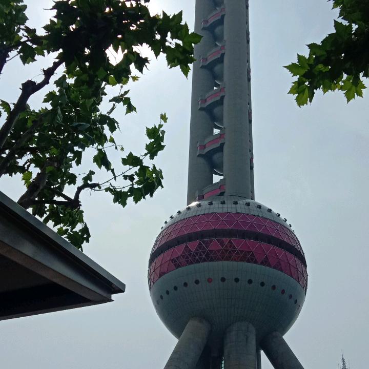 张小伍