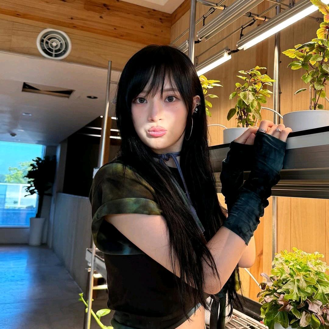 什么芝士蛋糕