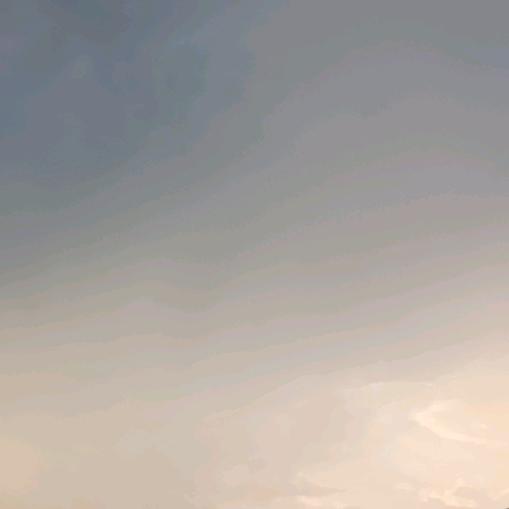 LISER广州晟语玮有限公司胡小米直播号