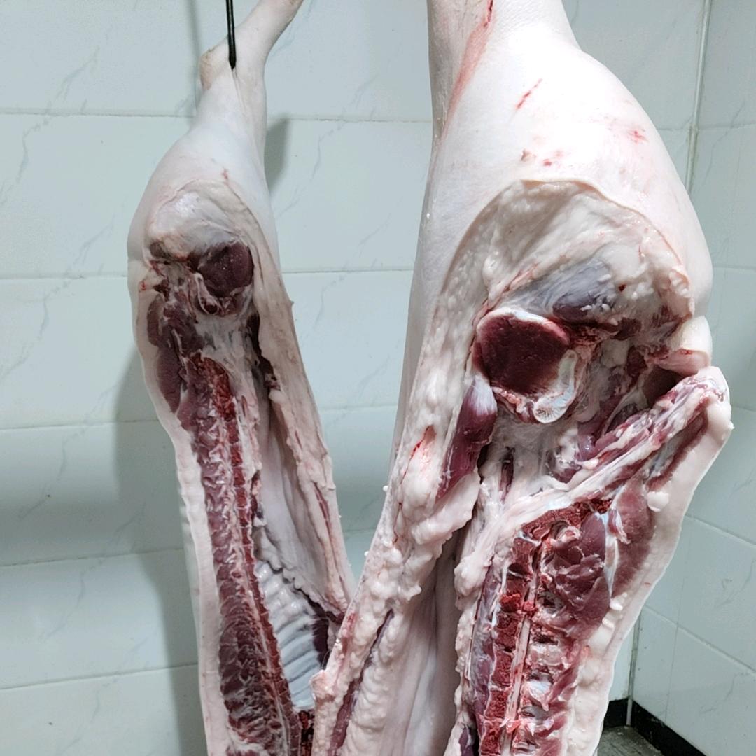 🐷猪大帅生猪白条贸易