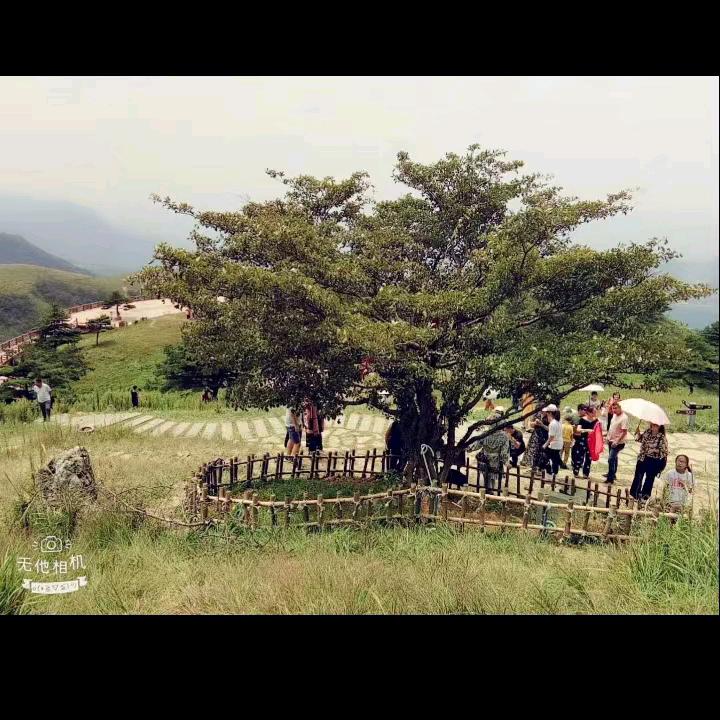 大金坡农家饭庄