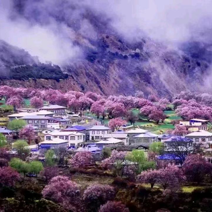 热心月月姐