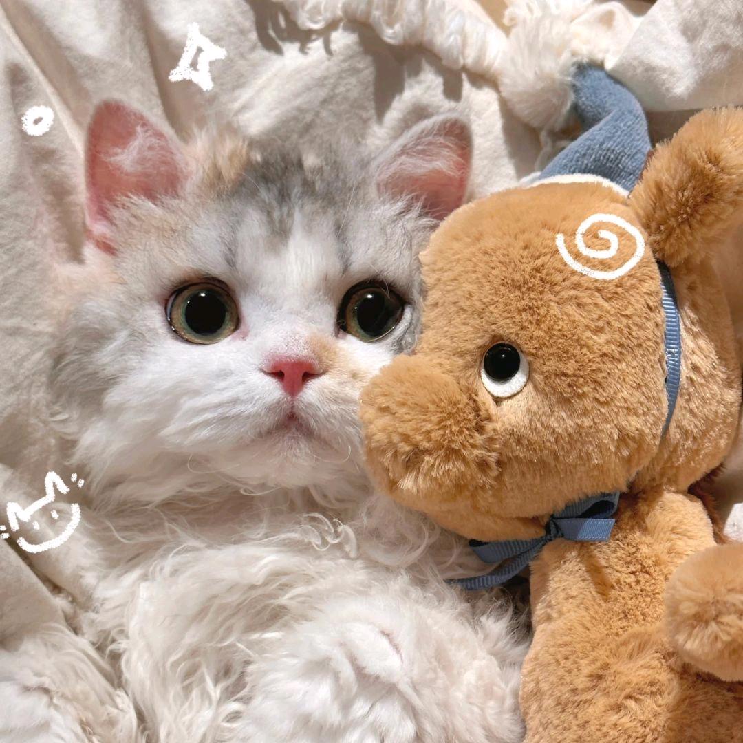 浆果大王🫐🍓