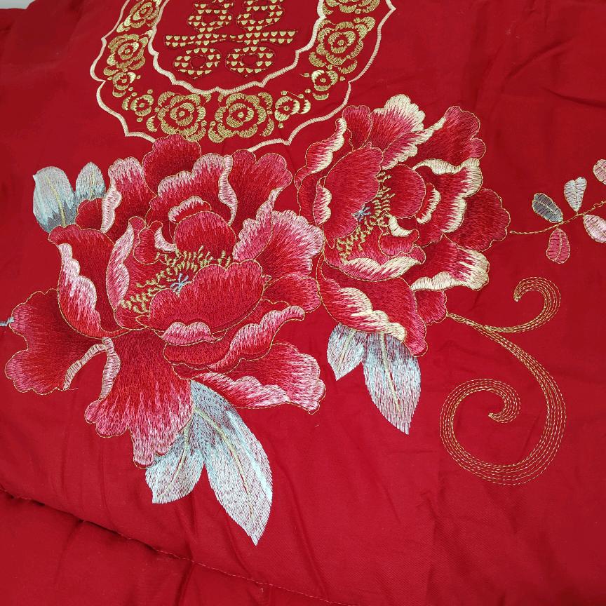 🍎🍎🍎🍎🍎🍎🍎🍎🍎🍎