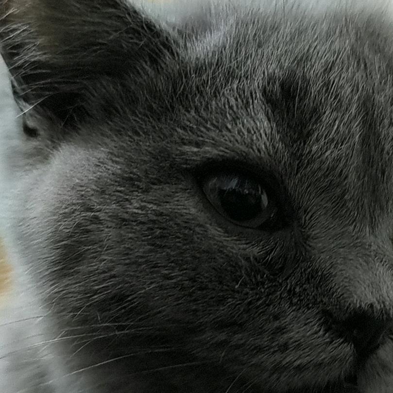 到富士山下时🍂爱情已转移