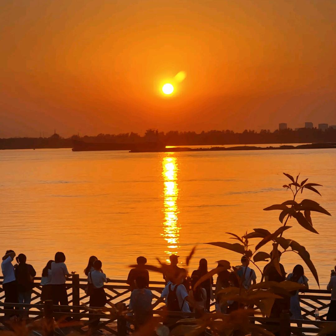 专注美女写真视频