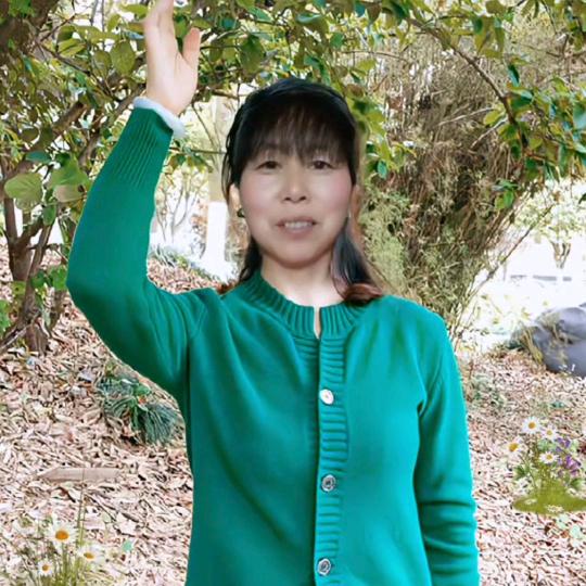 🙋岁月の静好༂