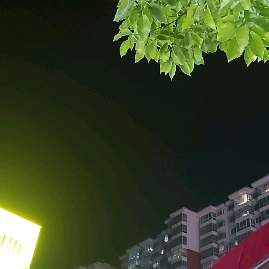 山上的🐳（涨粉）
