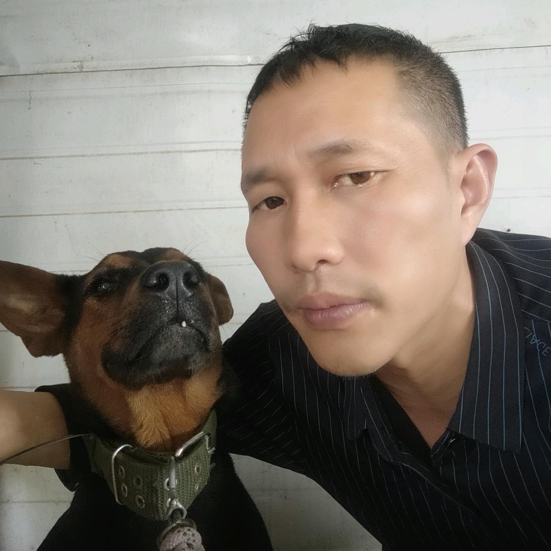 狗司令