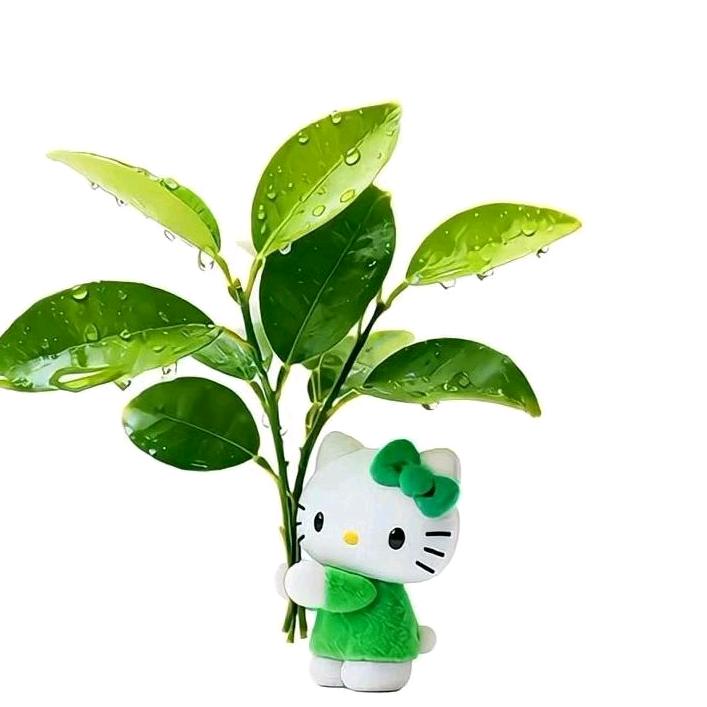 蛋卷🌮（没招版）