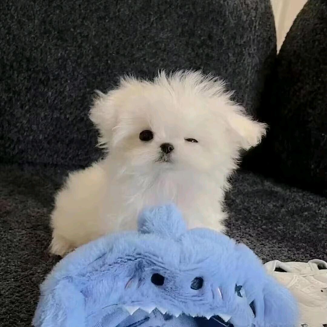 李有点无趣