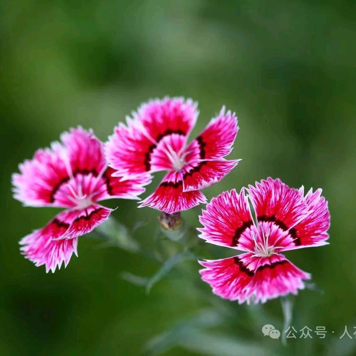 旺仔百货