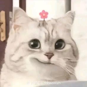 还得看我懒大王♛