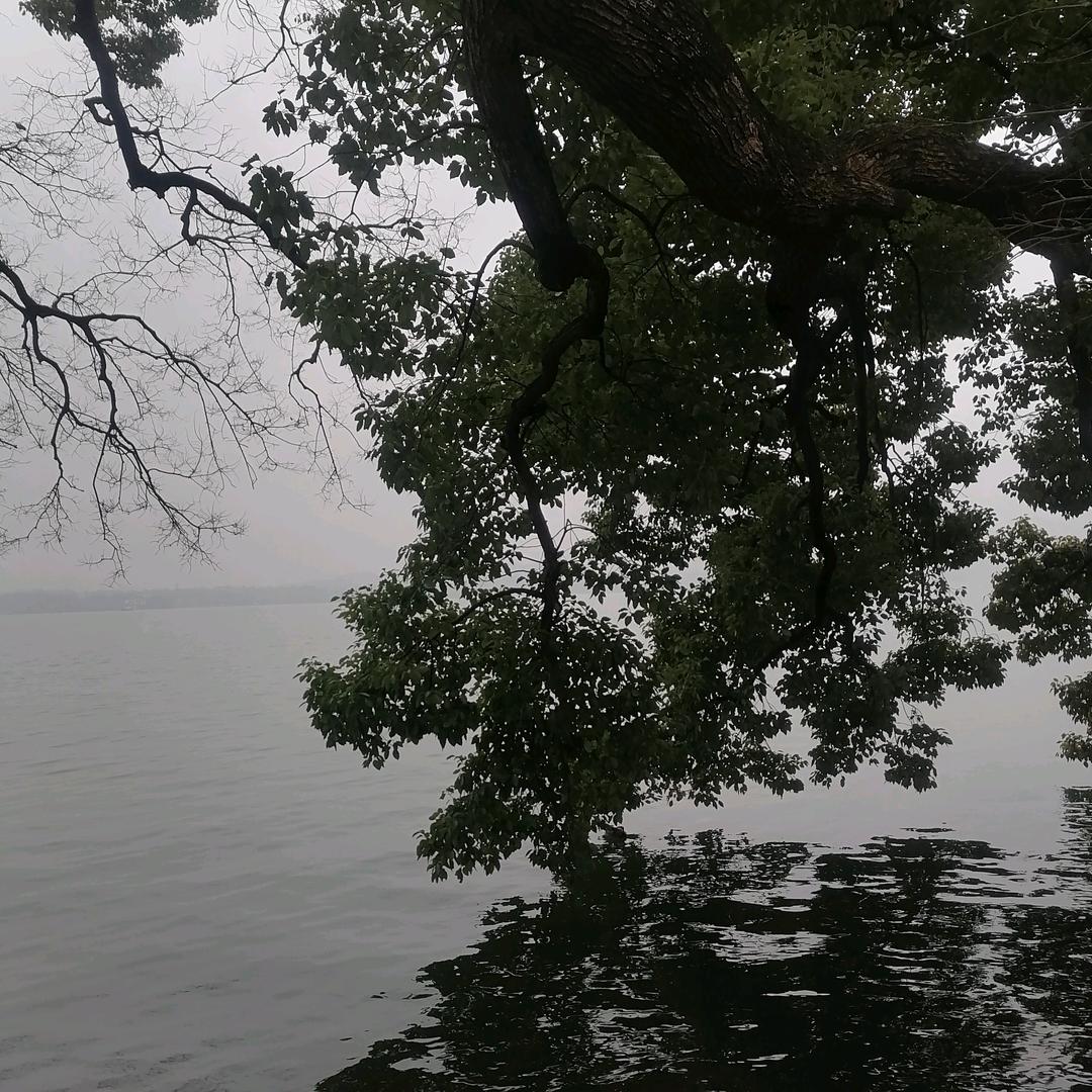 美罗家纺床品窗帘店